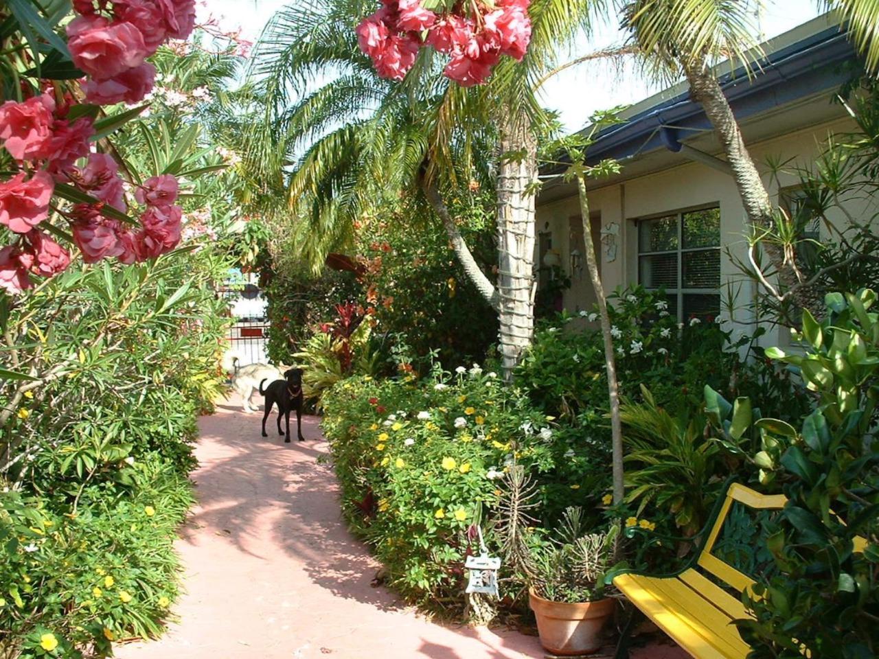 Affordable Beach Condos - One Bedroom Dlx Condos St. Pete Beach Exterior foto