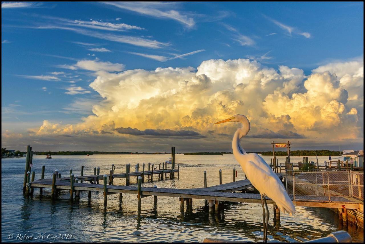 Affordable Beach Condos - One Bedroom Dlx Condos St. Pete Beach Exterior foto